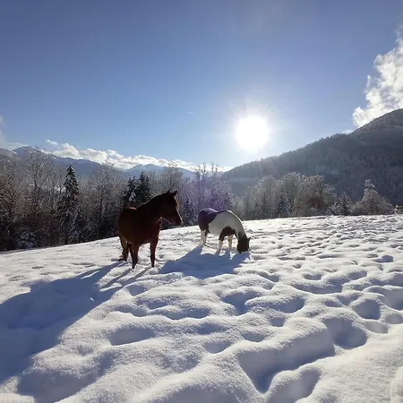 In Near Kellerjoch Area Nyaraló *