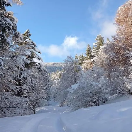 In Near Kellerjoch Area بيت للعطل