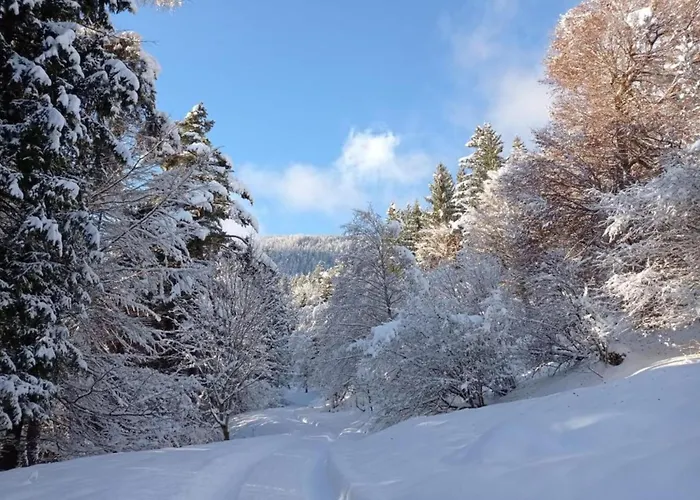 In Near Kellerjoch Area Holiday home